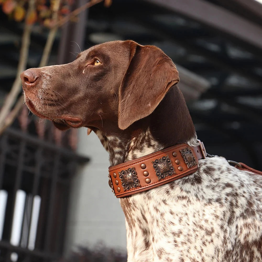 Cool Spiked Genuine Leather Dog Collar