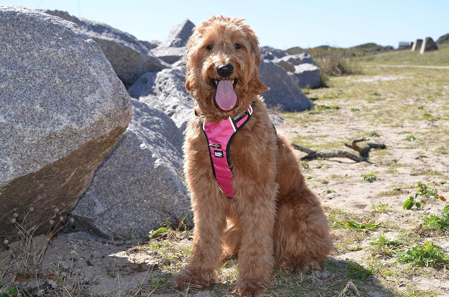 ComfortFit Reflective Dog Harness with Padded Handle