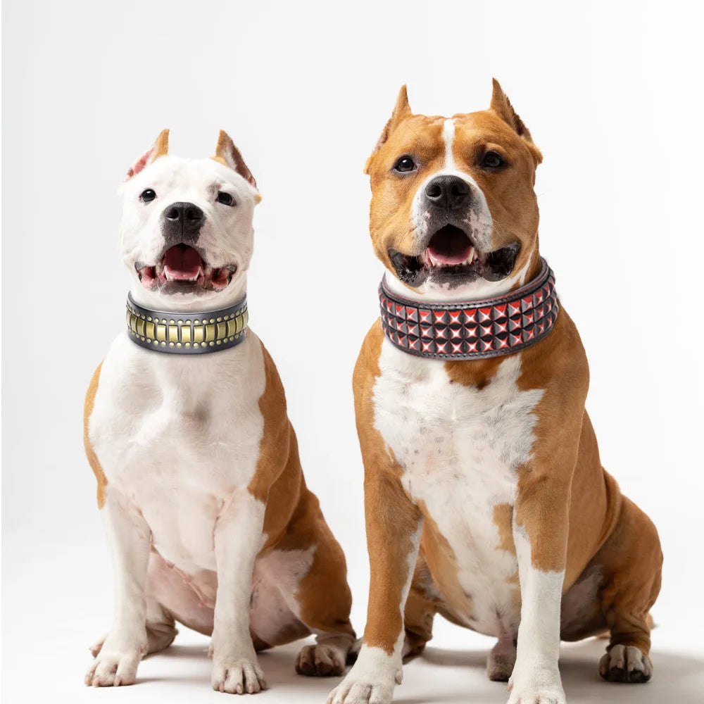 Luxury Genuine Leather Dog Collar – Wide Rivet Collar for Medium & Large Dogs