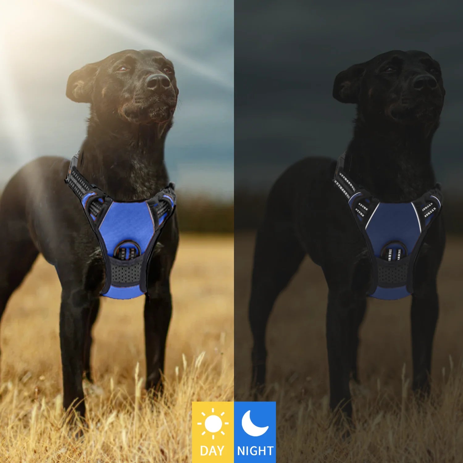 Reflective No Pull Dog Walking Harness – Comfortable Adjustable Pet Vest with Control Handle