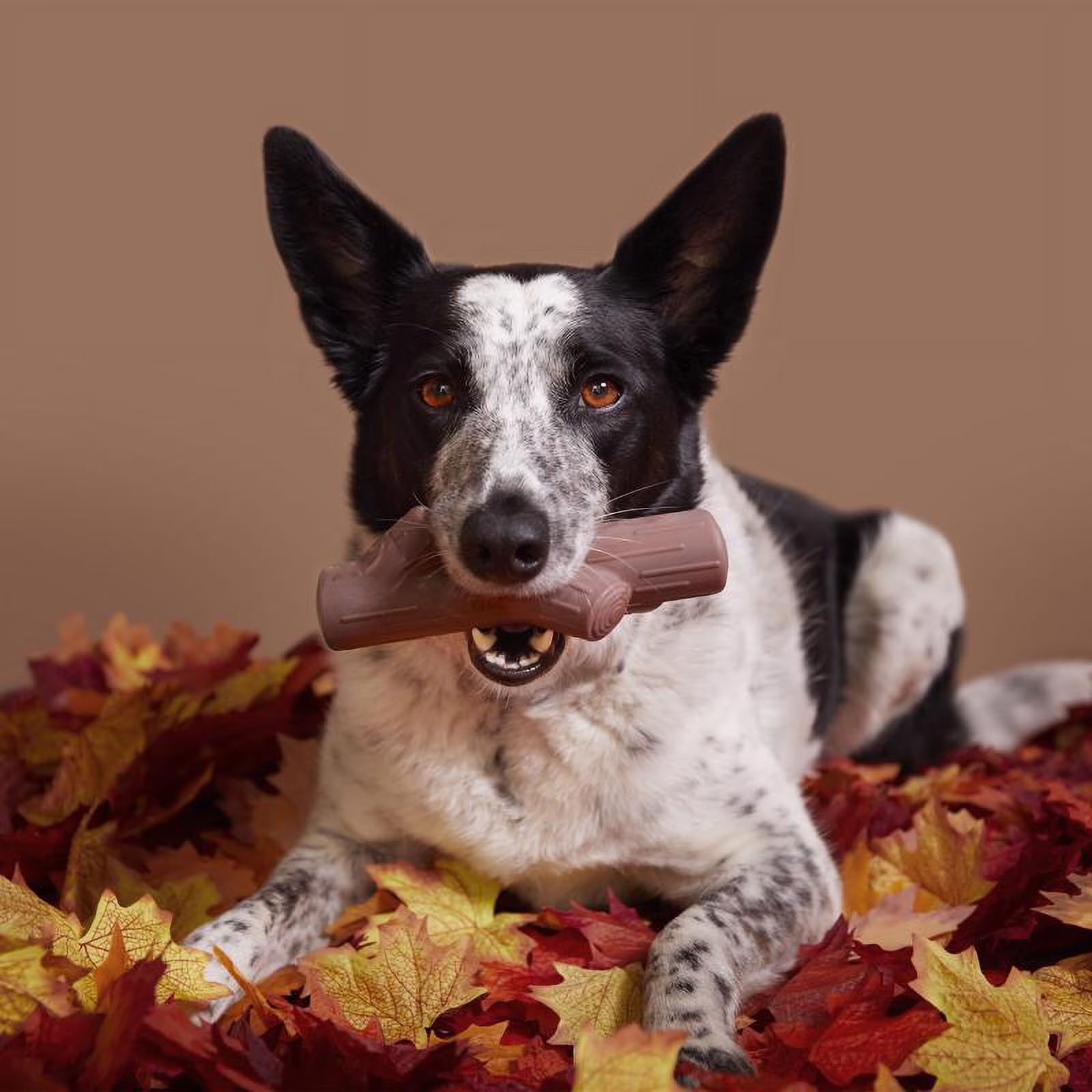 Super Chewer Tough Fetch Toy – Maple Scented Durable Dog Toy for Aggressive Chewers