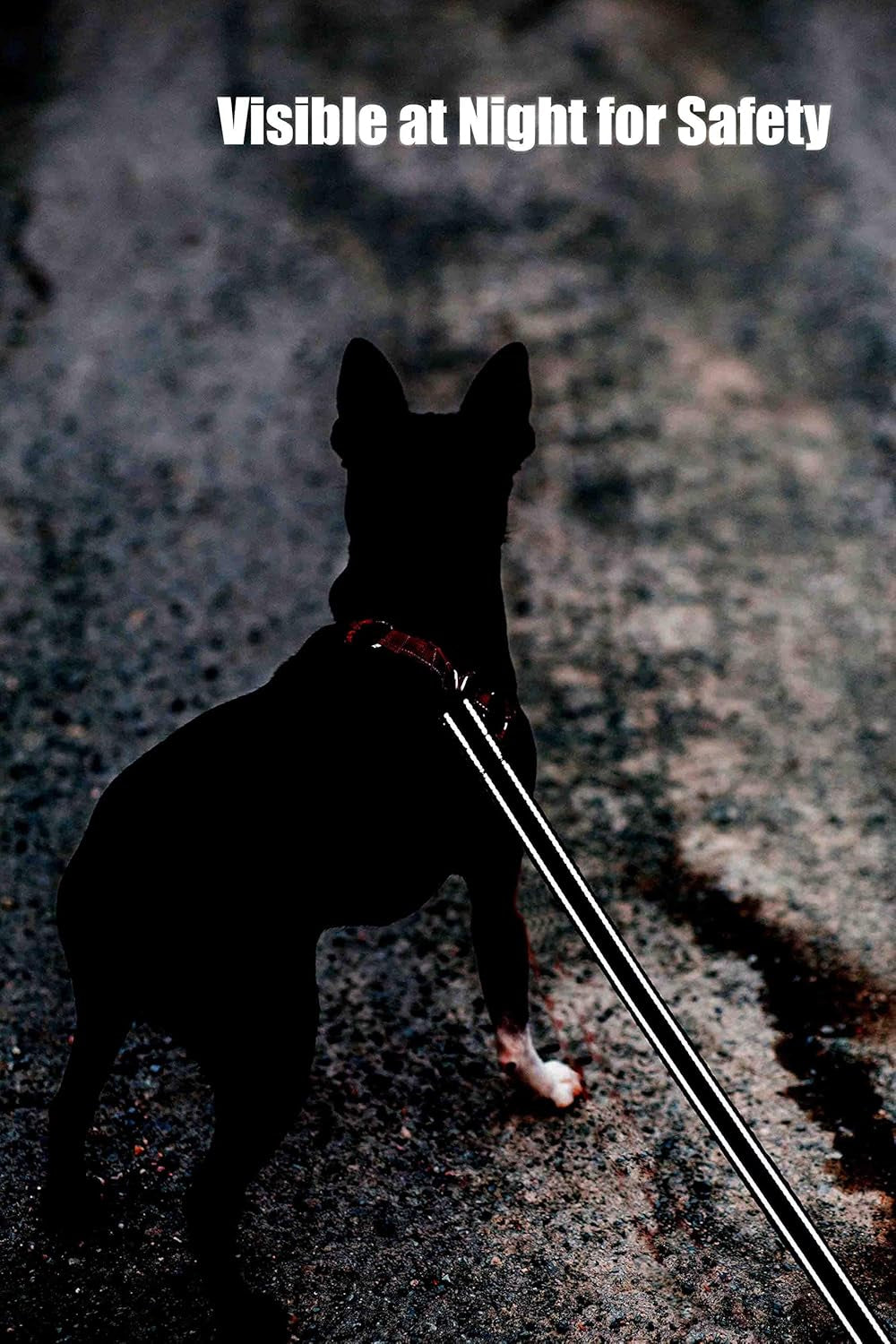 Reflective Nylon Dog Leash – 6FT Walking & Training Lead
