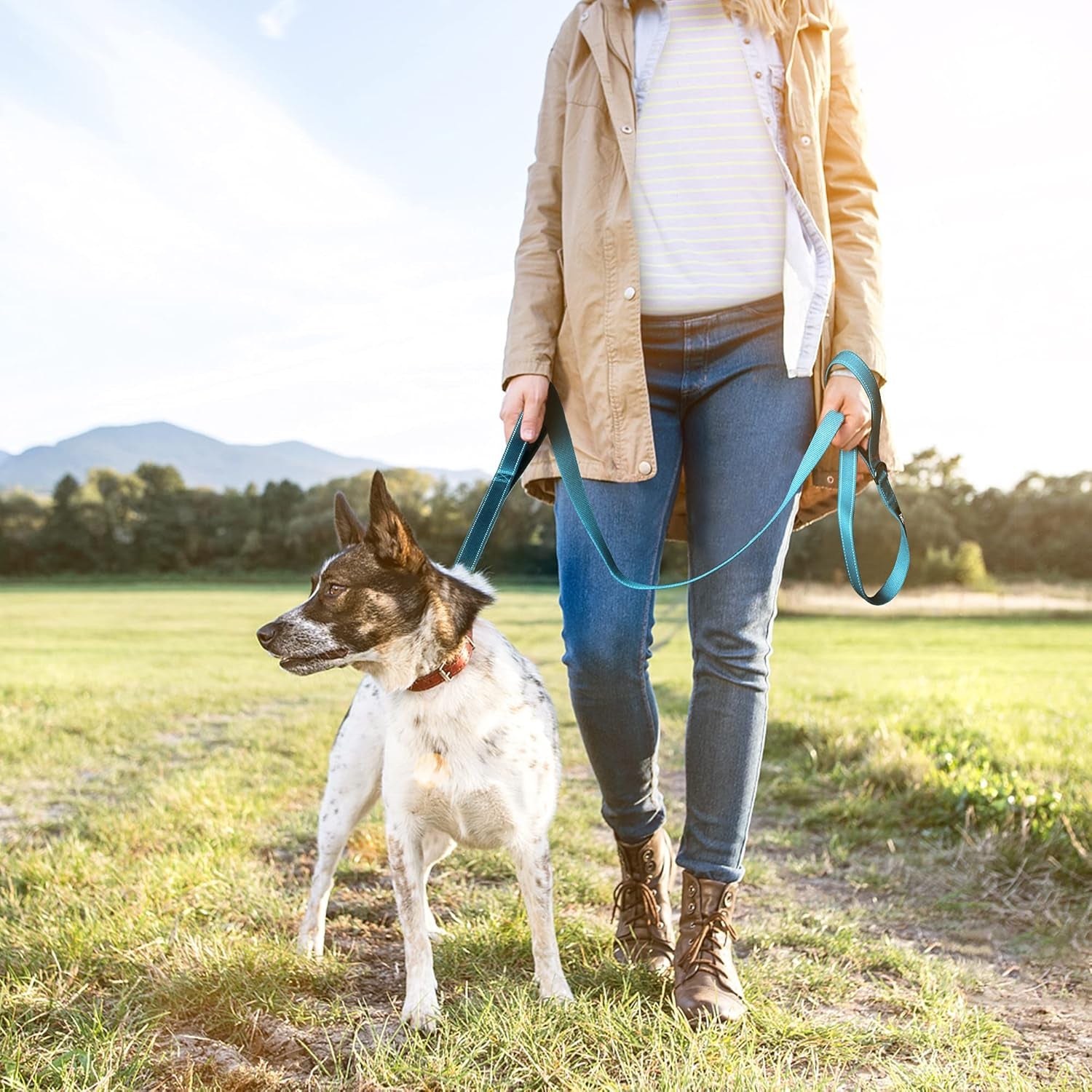 Strong Reflective Dog Leash with Dual Padded Handles – 6FT Heavy Duty Walking Lead