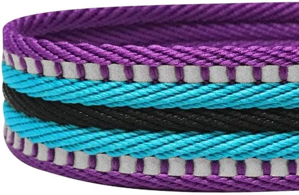 Blueberry Pet Reflective Dog Leash