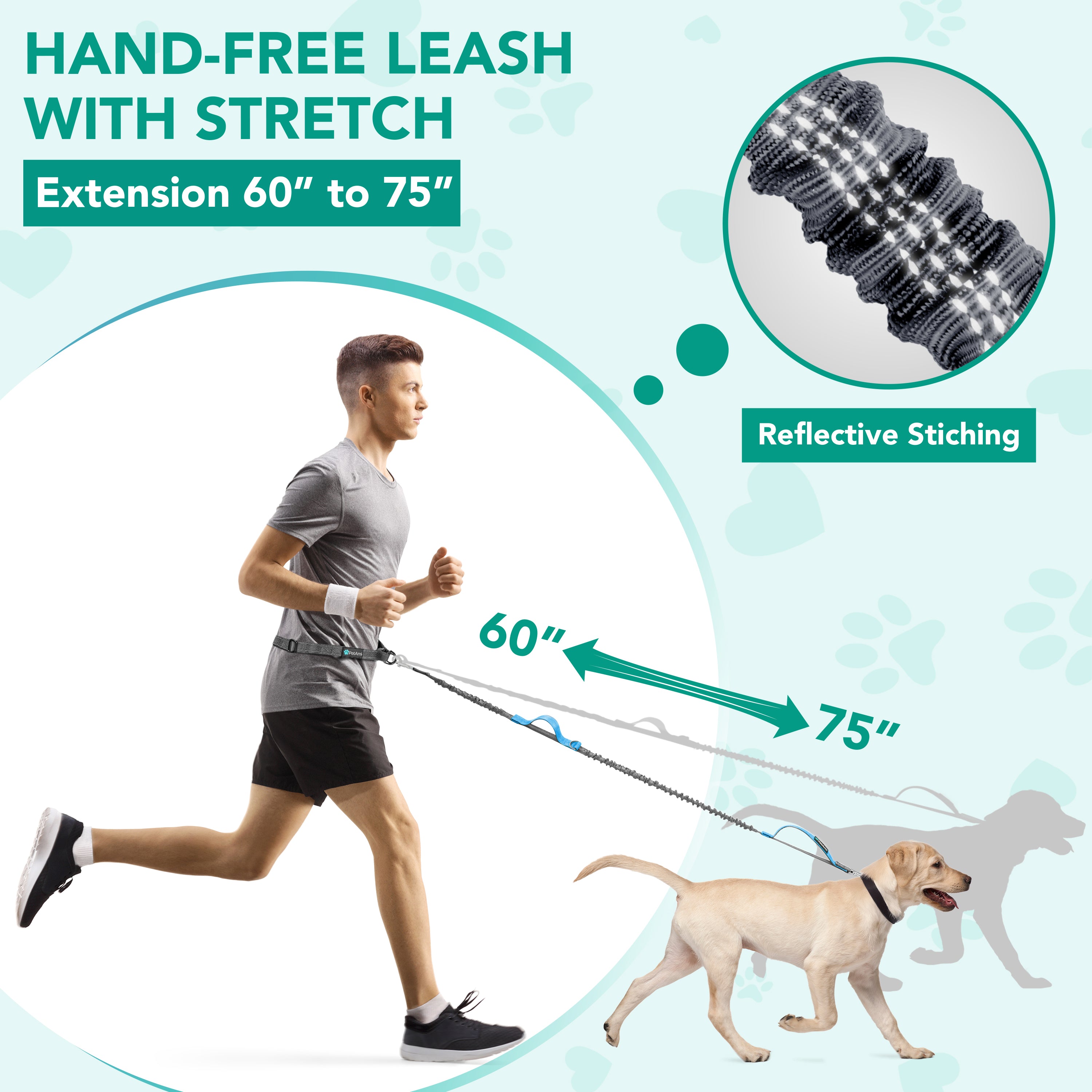 Hands-Free Dog Bungee Leash with Adjustable Waist Belt