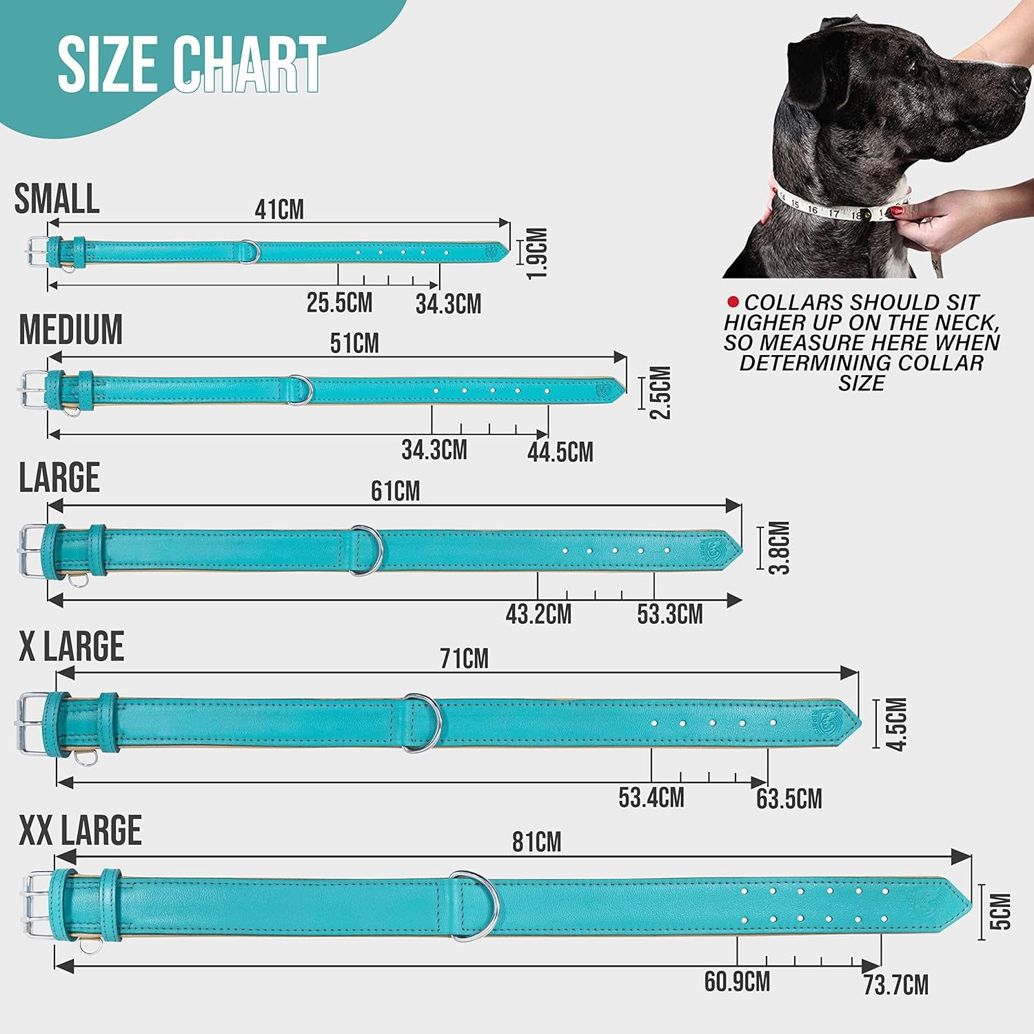 Riparo Dog Collars for Medium Dogs, Genuine Leather Dog Collar, Medium Dog Collar (M: 1" Wide for 13.5β-17.5β Neck, Aqua)