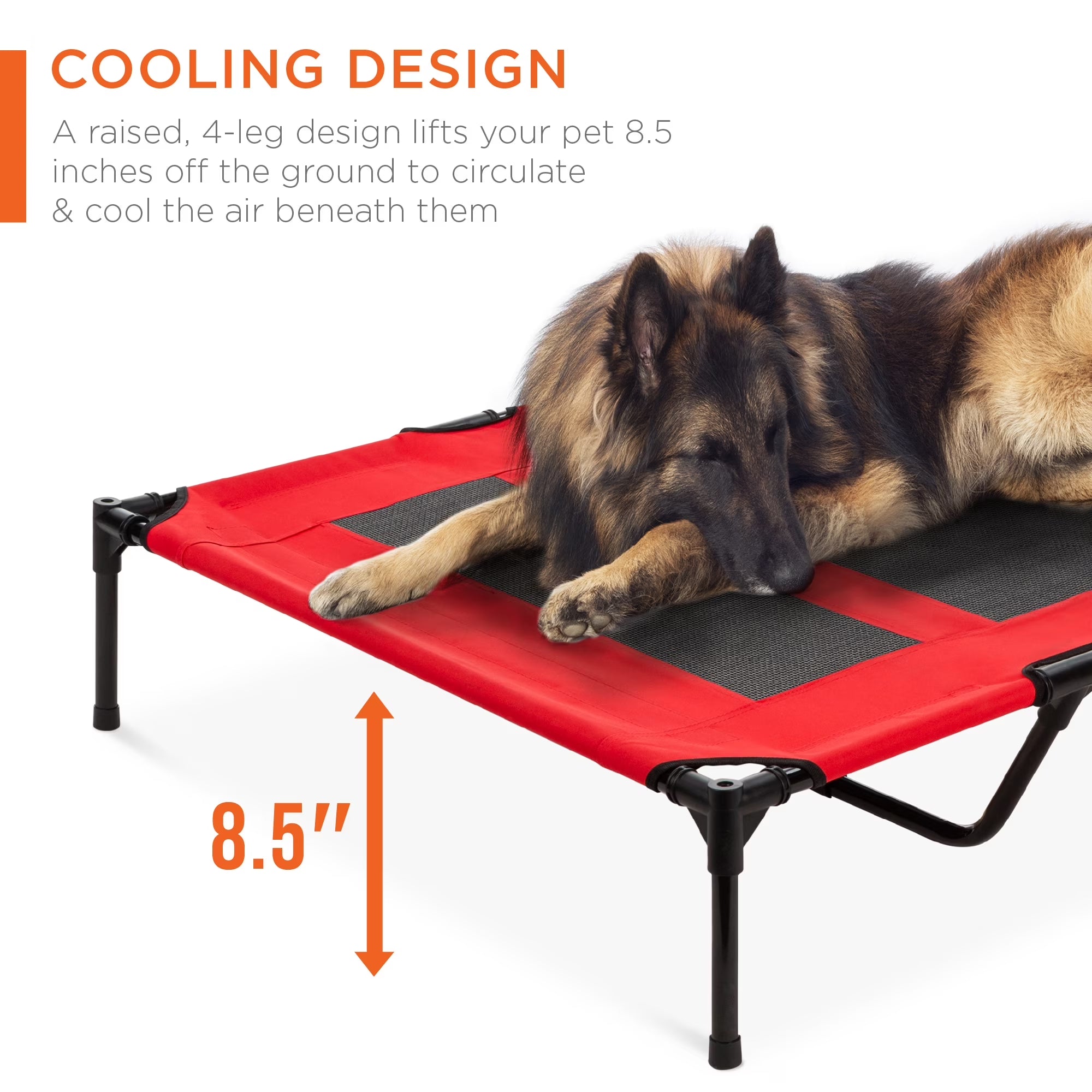 48" Elevated Cooling Dog Bed with Removable Canopy