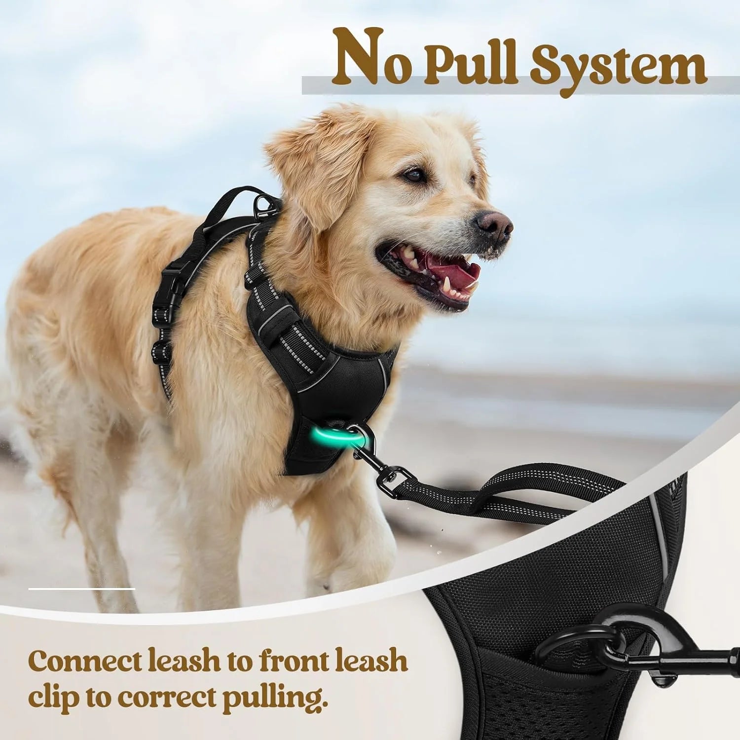 No Pull Dog Harness with Dual Leash Clips – Reflective Padded Vest for Large Dogs
