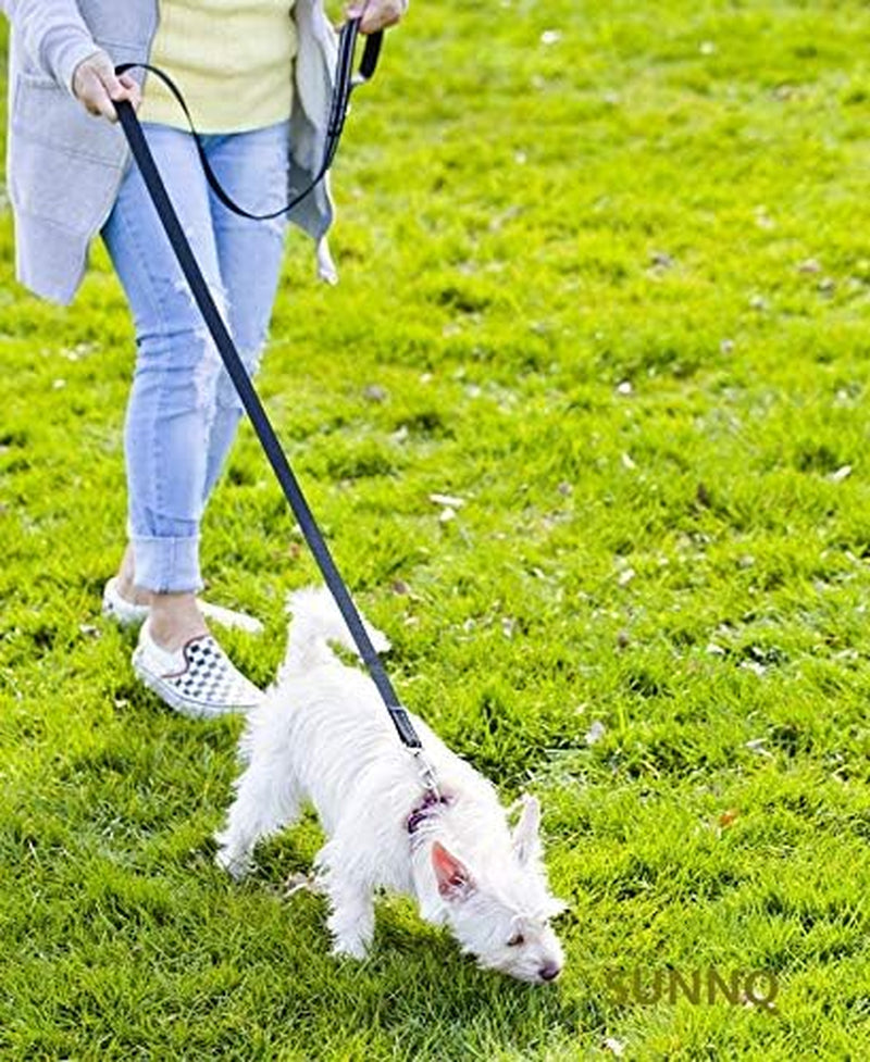 Reflective Nylon Dog Leash – 6FT Walking & Training Lead