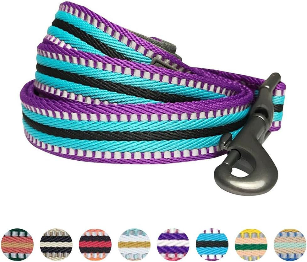 Blueberry Pet Reflective Dog Leash