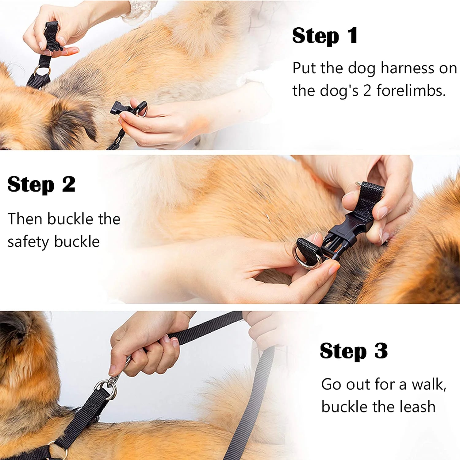No Pull Step-In Dog Harness & Leash Set with Adjustable Collar