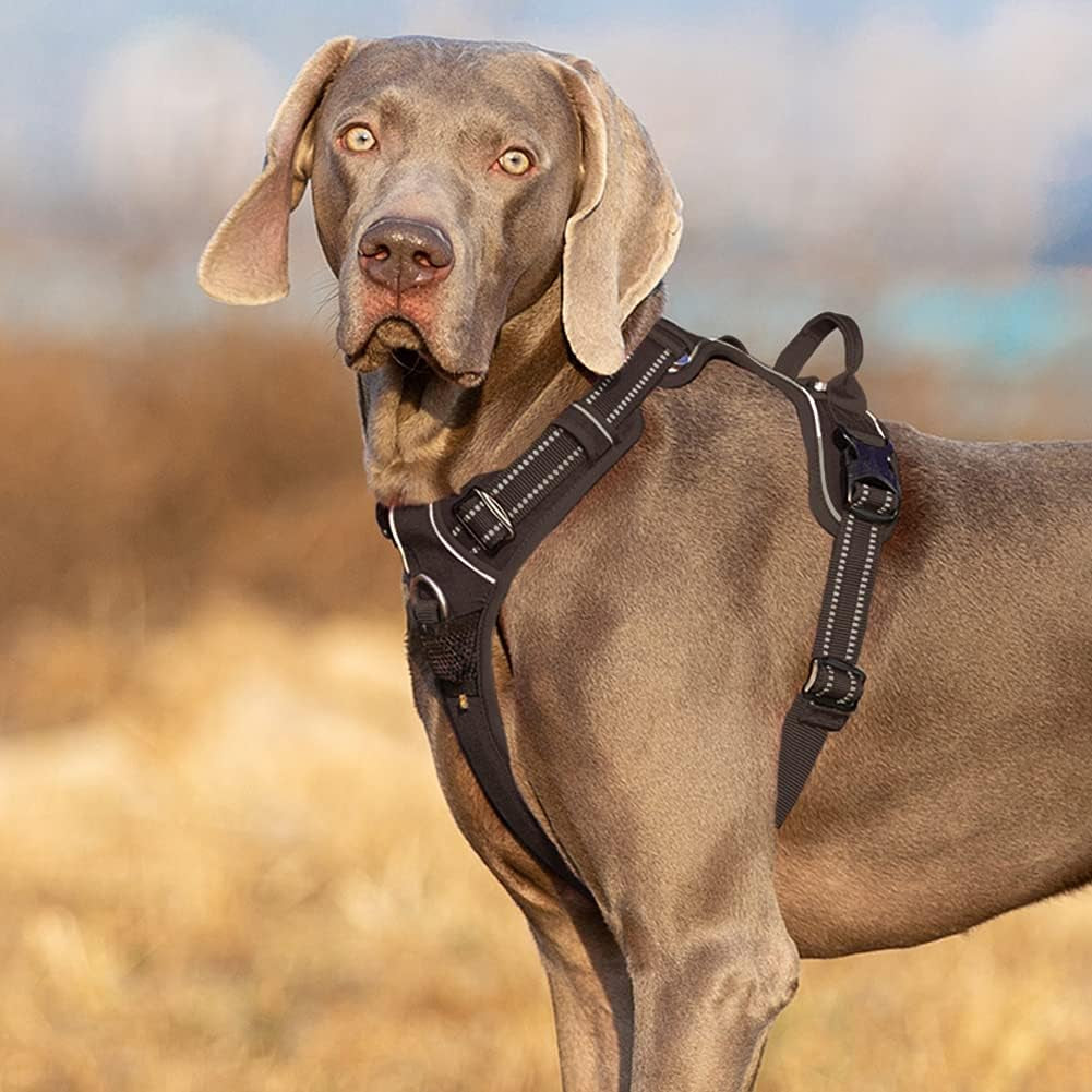 AdventureGuard No-Pull Dog Harness with Reflective Trim & Control Handle