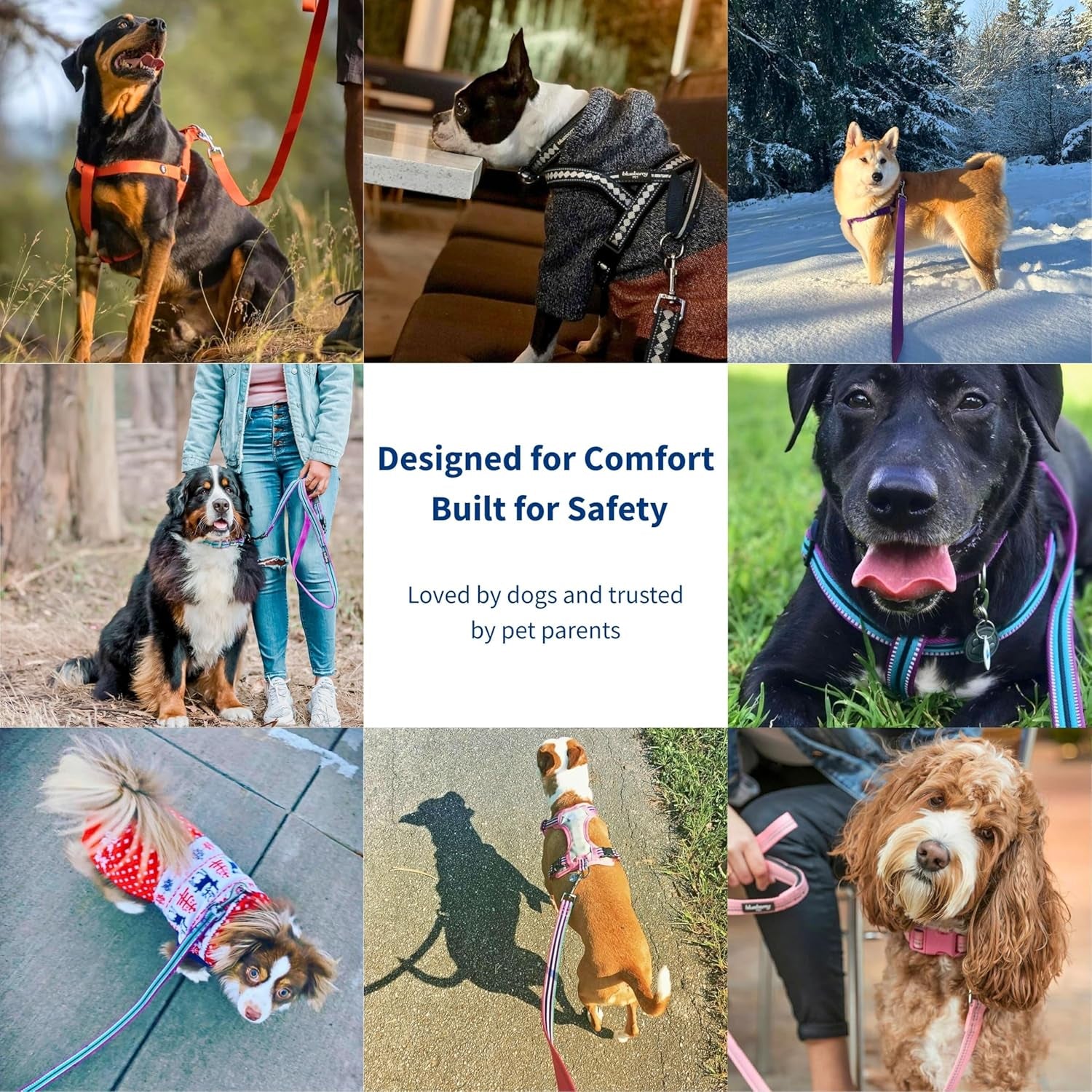 Blueberry Pet Reflective Dog Leash