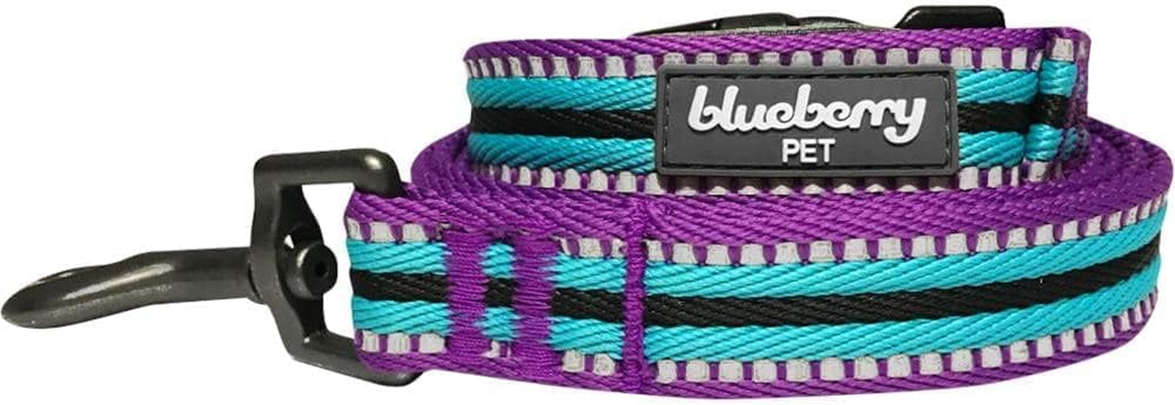 Blueberry Pet Reflective Dog Leash