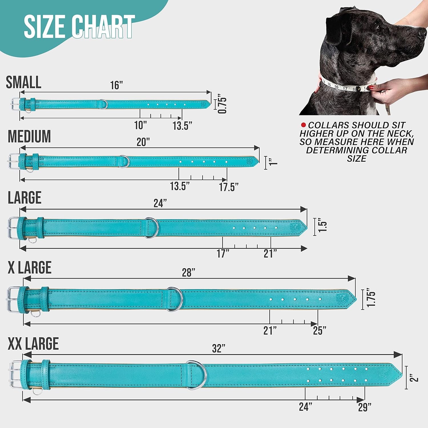 Riparo Dog Collars for Medium Dogs, Genuine Leather Dog Collar, Medium Dog Collar (M: 1" Wide for 13.5β-17.5β Neck, Aqua)