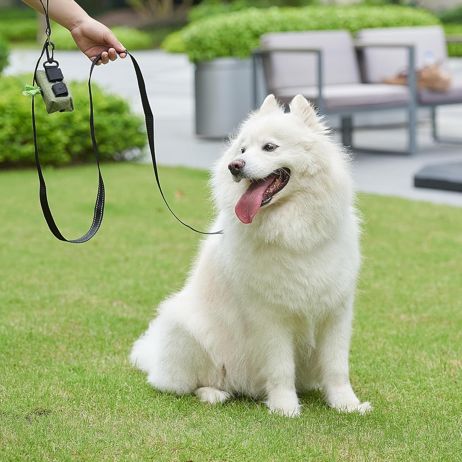 Reflective Nylon Dog Leash – 6FT Walking & Training Lead