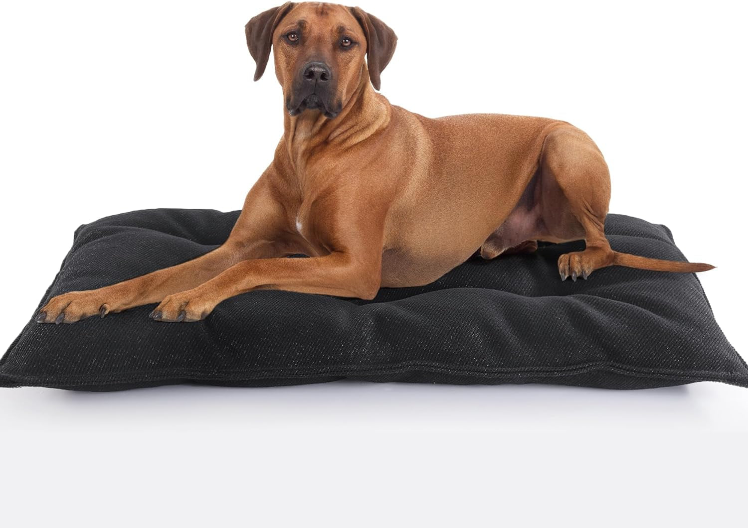 Heavy-Duty Chew Resistant Dog Crate Bed for Aggressive Chewers