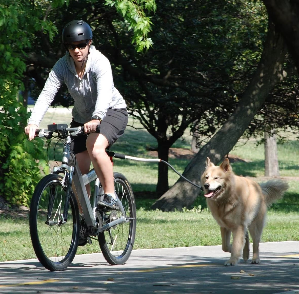 CycleMate Elastic Bicycle Dog Leash with Removable Metal Attachment