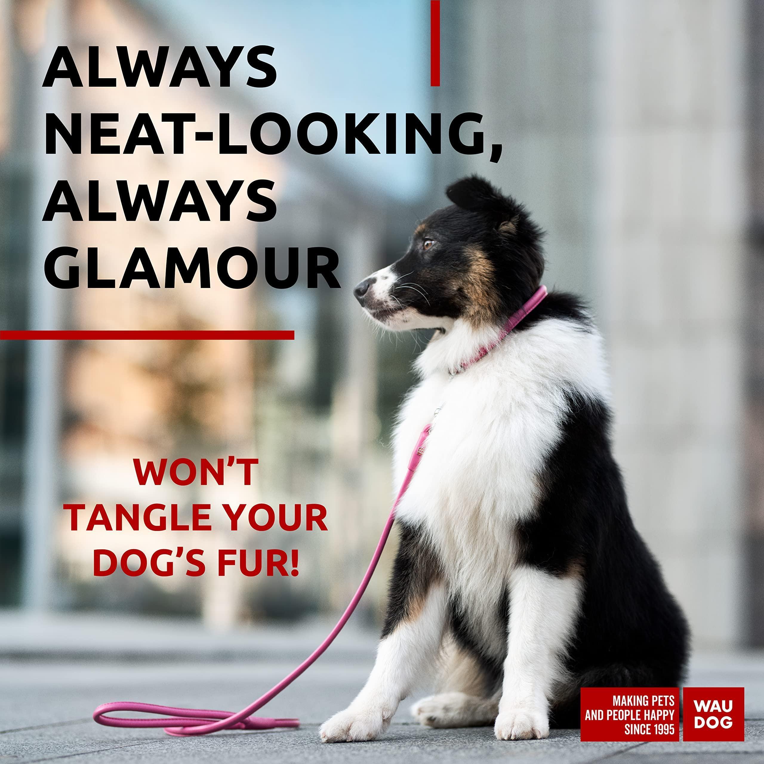 Glamour Rolled Leather Dog Leash