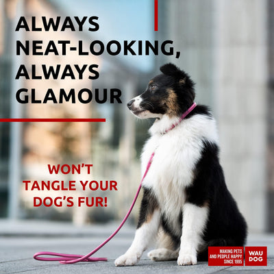 Glamour Rolled Leather Dog Leash
