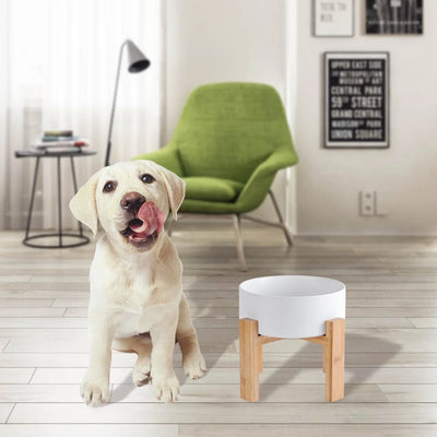 Elevated Ceramic Dog Bowl with Stand