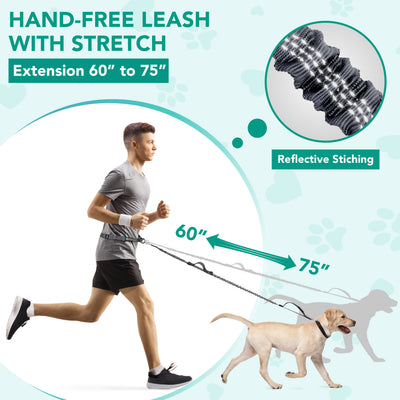 Hands-Free Dog Bungee Leash with Adjustable Waist Belt