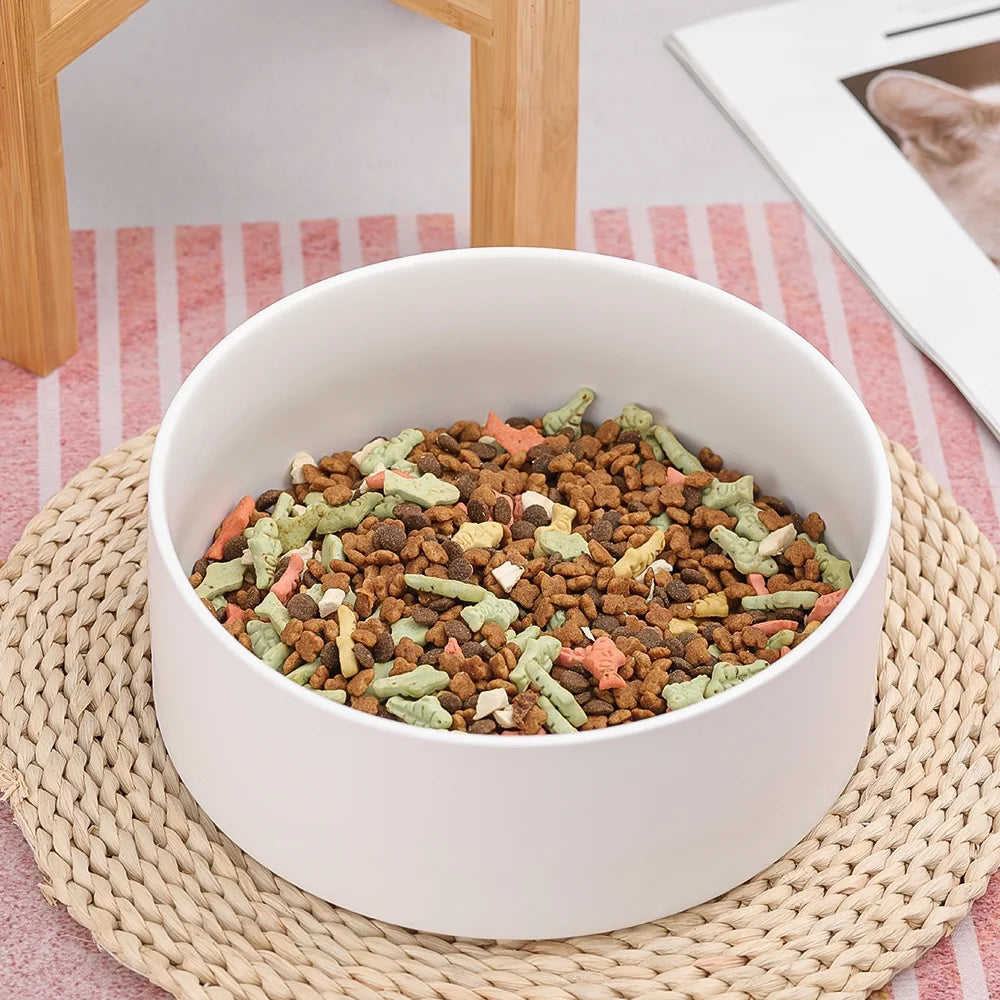 Elevated Ceramic Dog Bowl with Stand