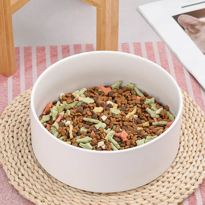 Elevated Ceramic Dog Bowl with Stand