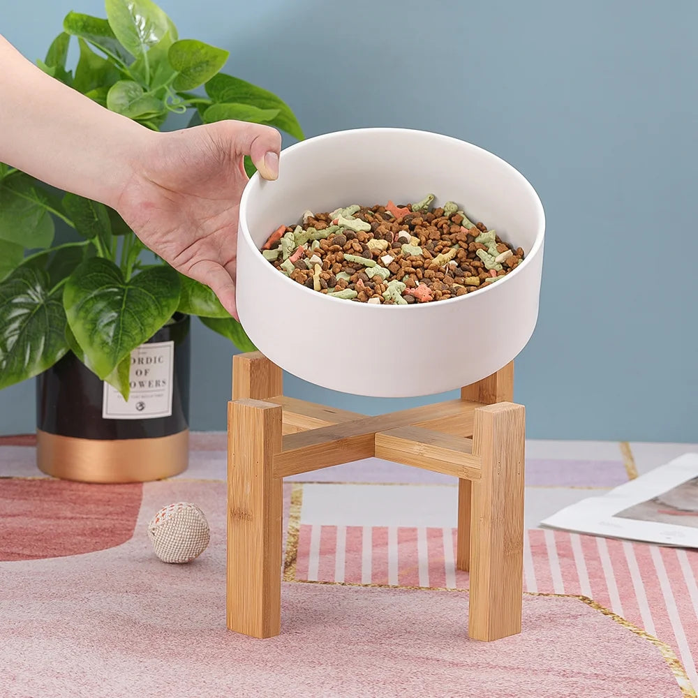 Elevated Ceramic Dog Bowl with Stand