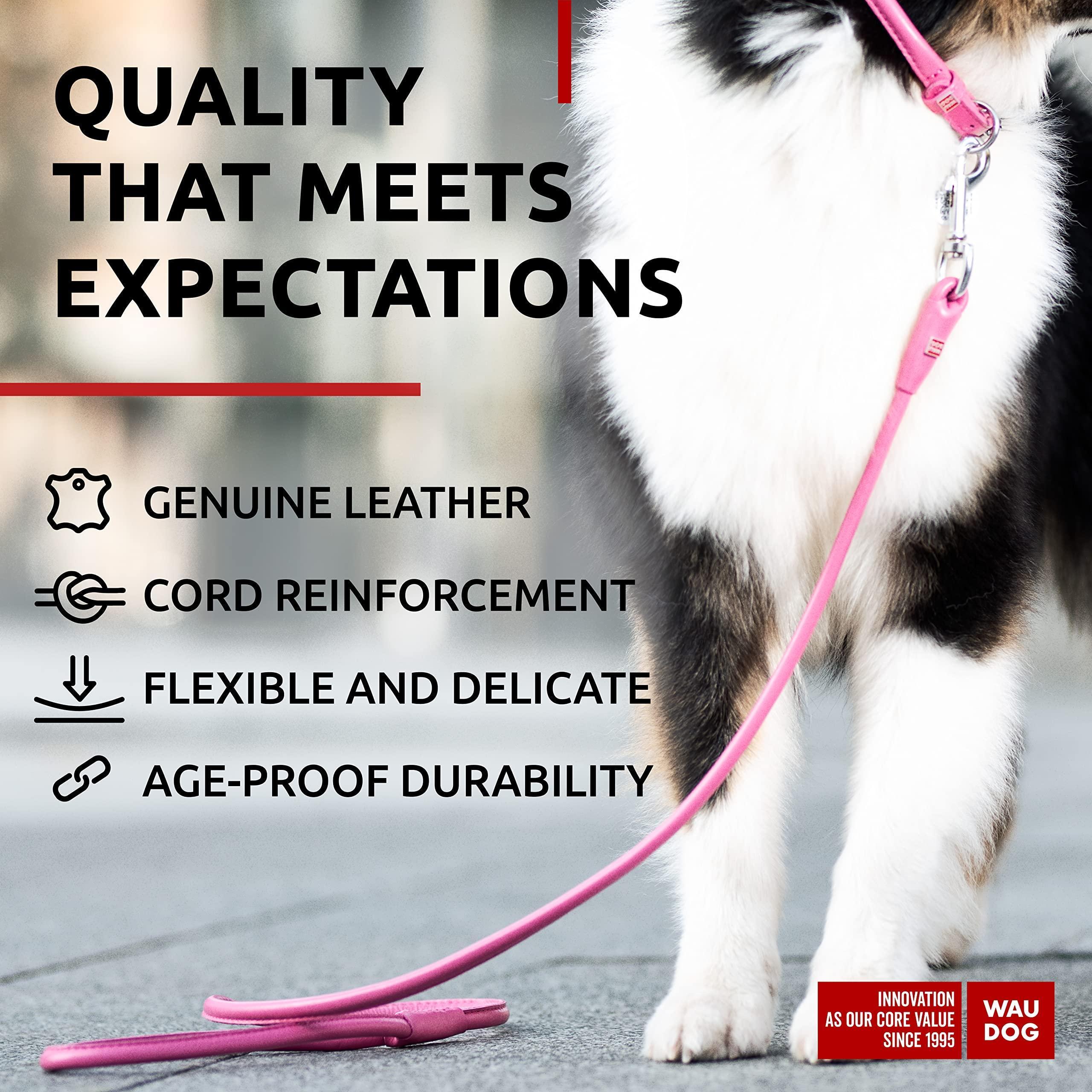 Glamour Rolled Leather Dog Leash
