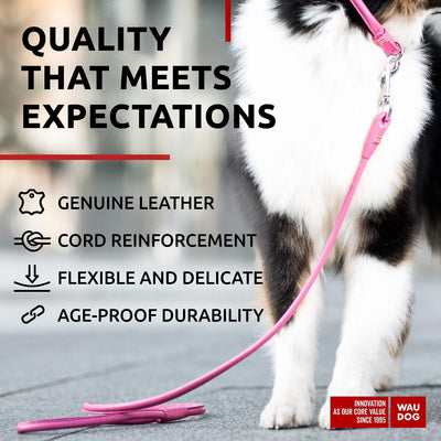 Glamour Rolled Leather Dog Leash