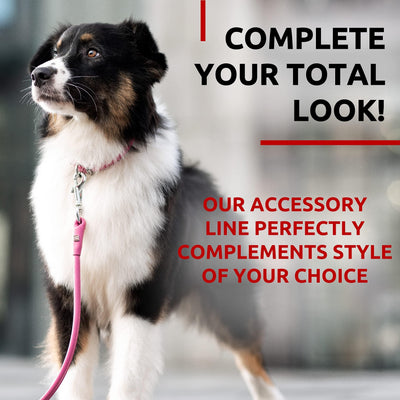 Glamour Rolled Leather Dog Leash