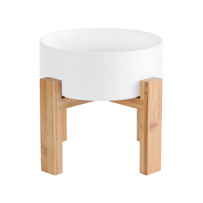 Elevated Ceramic Dog Bowl with Stand