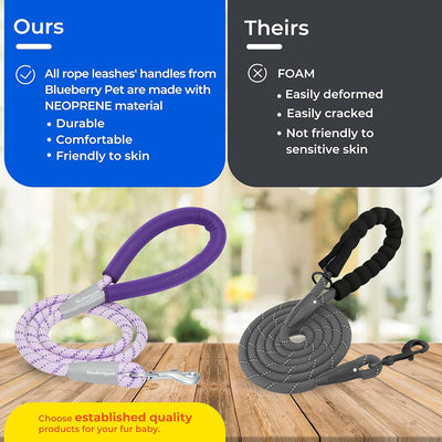 Blue-Tone 4FT Walking Lead