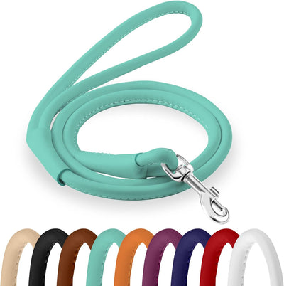 Rolled Leather Dog Leash – Soft Padded Training Lead