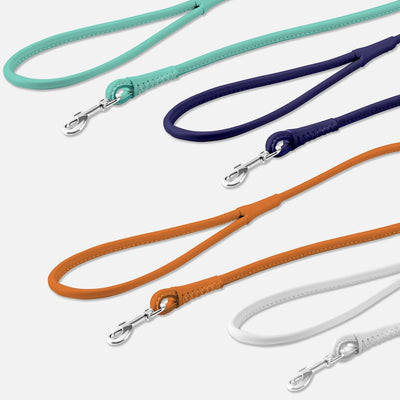 Rolled Leather Dog Leash – Soft Padded Training Lead