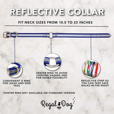 Reflective Waterproof Dog Collar with Heavy-Duty Metal Buckle