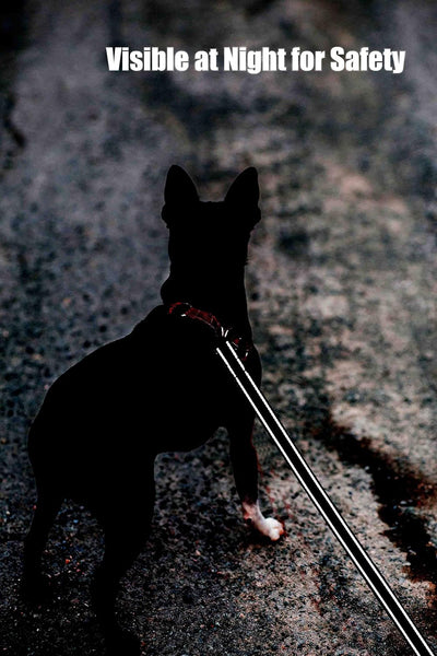 Reflective Nylon Dog Leash – 6FT Walking & Training Lead