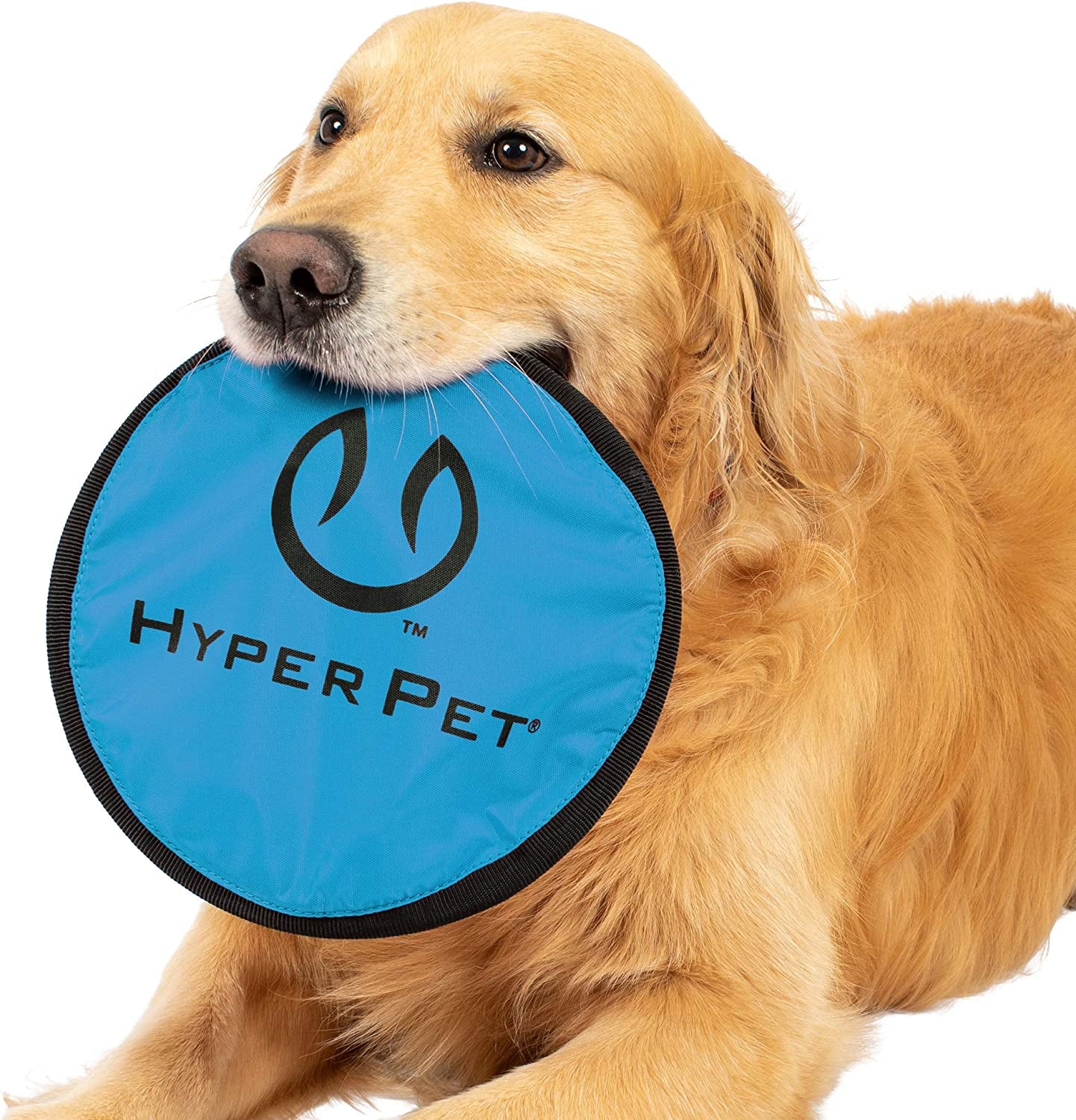 Flippy Flopper 9" Flying Disc Dog Toy – Floating Soft Fetch Discs (Pack of 5)