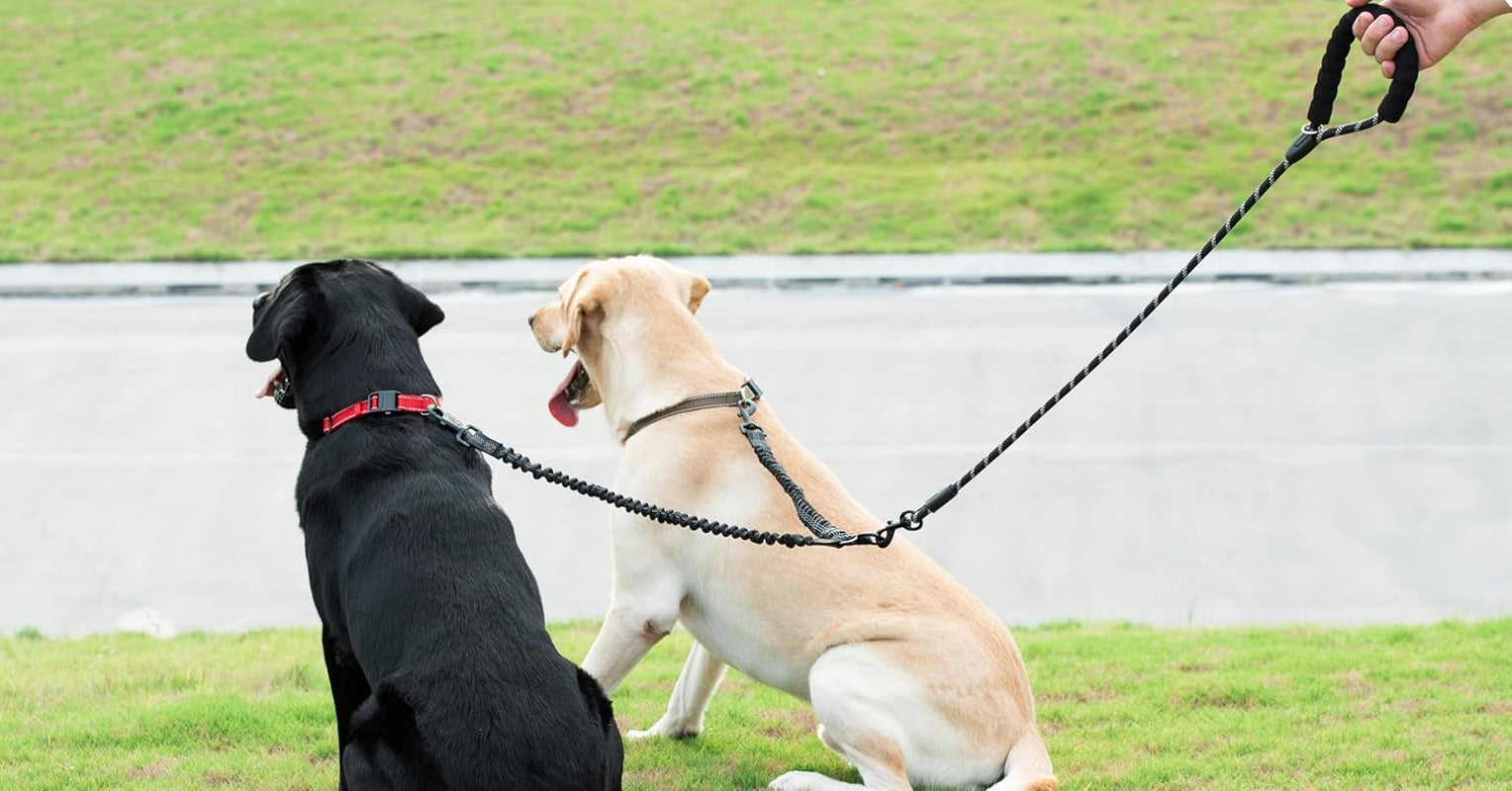 Dual Dog Leash with 360° Swivel – No Tangle Bungee Leash for Two Dogs