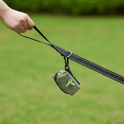 Reflective Nylon Dog Leash – 6FT Walking & Training Lead