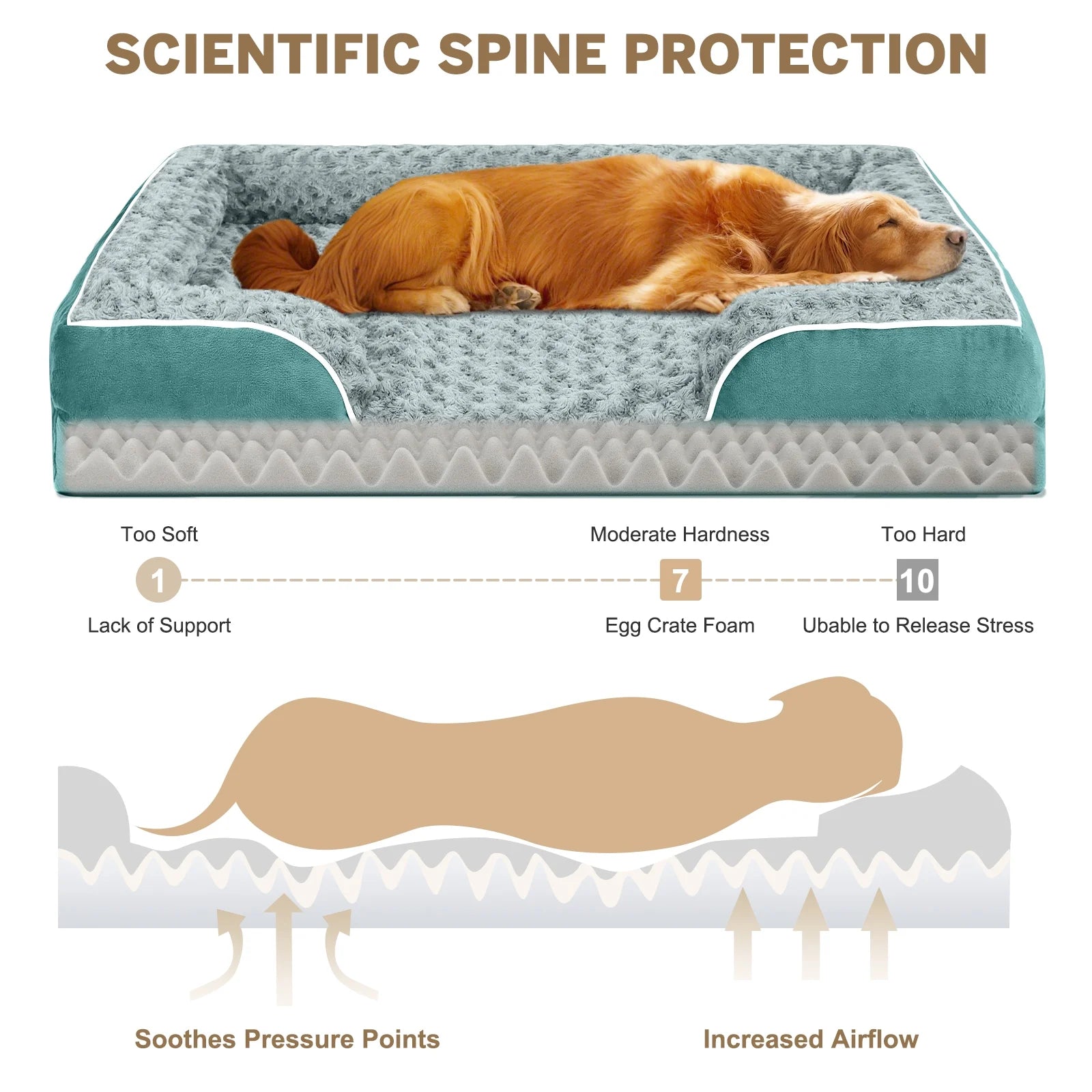 Washable Pet Couch with Supportive Foam
