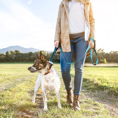 Strong Reflective Dog Leash with Dual Padded Handles – 6FT Heavy Duty Walking Lead