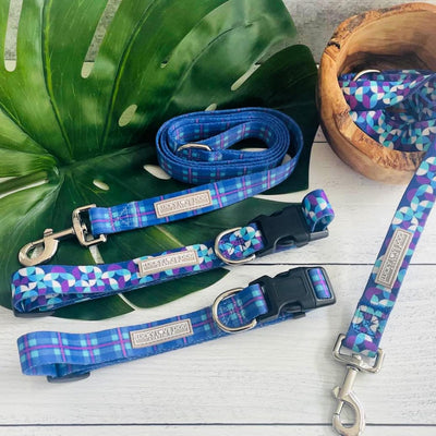 Adjustable Durable Dog Collar with Easy Click Buckle for Small Dogs - Comfortable Design for Male and Female Puppies and Adults - Jasper, Small