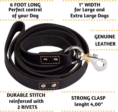 Adityna Heavy Duty Leather Dog Leash – 6FT Premium Training Lead