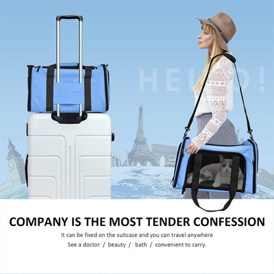 Airline-Approved Pet Carrier Backpack for Small Dogs