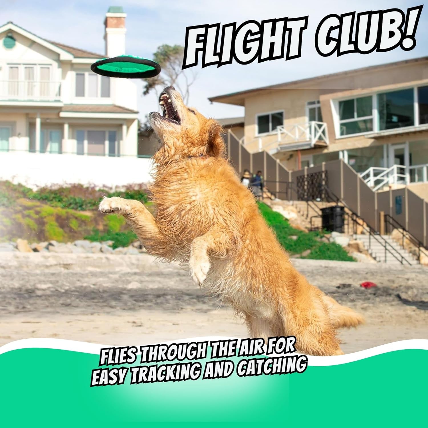 Flippy Flopper 9" Flying Disc Dog Toy – Floating Soft Fetch Discs (Pack of 5)