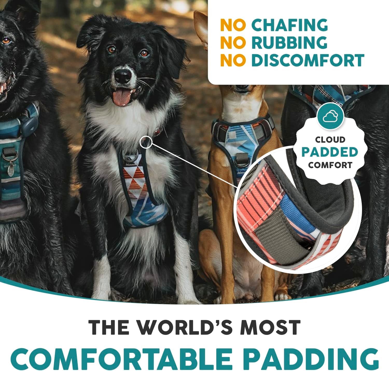 Embark Adventure Small Dog Harness – No Pull Reflective Harness with Front Clip & Comfort Handle