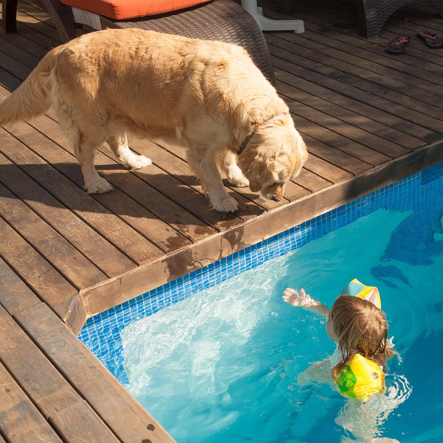 Waterproof Memory Foam Dog Bed – Removable Washable Crate Mat 30" × 21" Brown