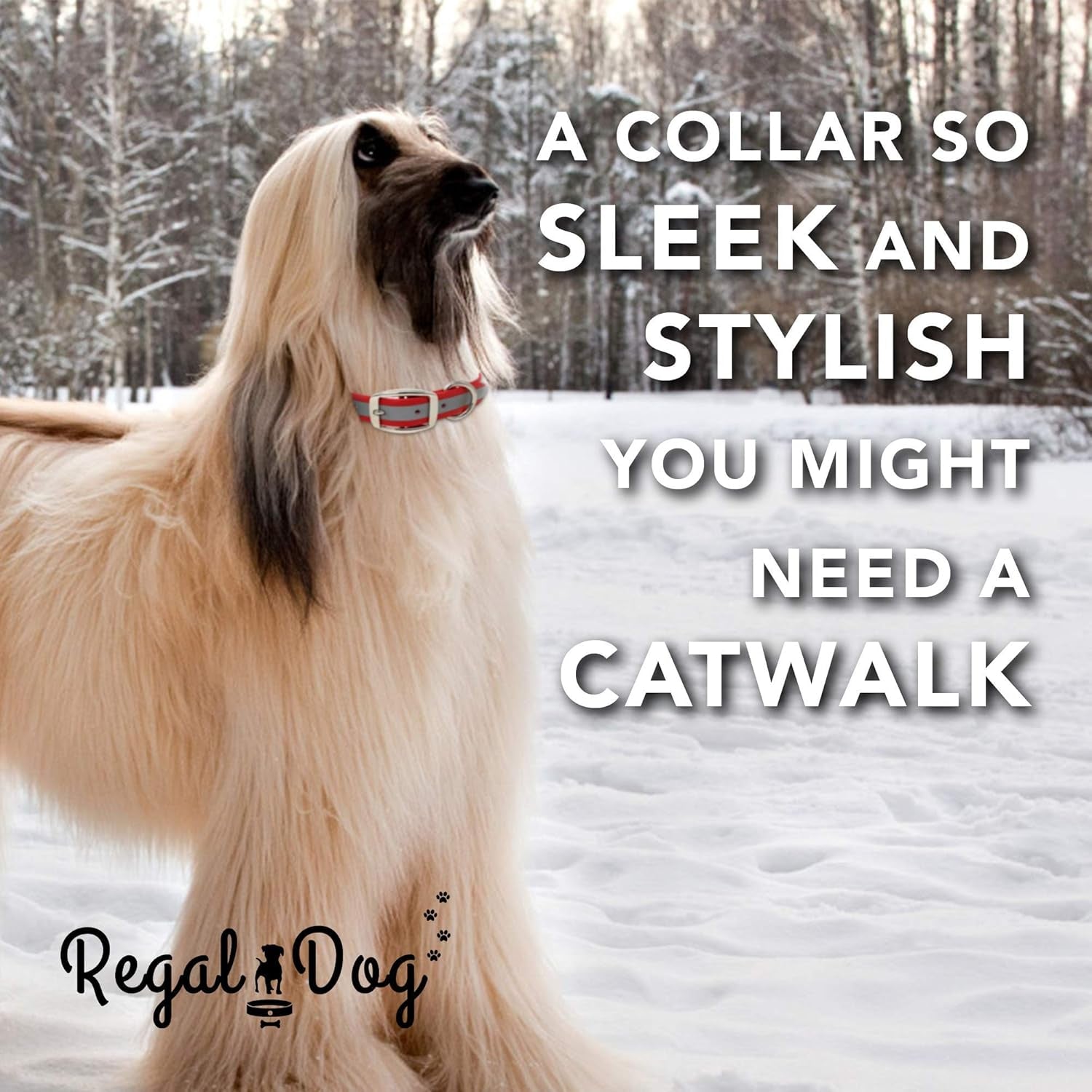 Reflective Waterproof Dog Collar with Heavy-Duty Metal Buckle